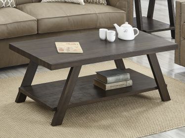 Athens Contemporary Wood Shelf Coffee Table in Weathered Espresso